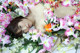 Riko Natsuki - Her Giral Sex P12 No.d7490d